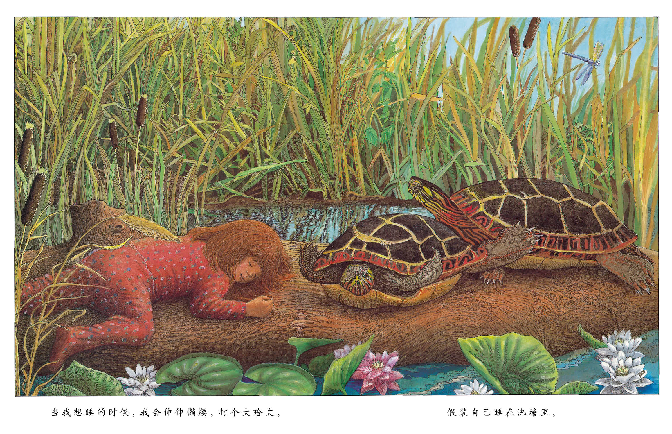 当我想睡的时候 (06),绘本,绘本故事,绘本阅读,故事书,童书,图画书,课外阅读